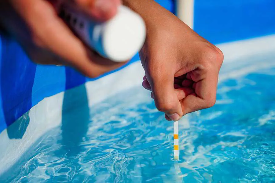 Pool Maintenance Tips for a Tropical Paradise